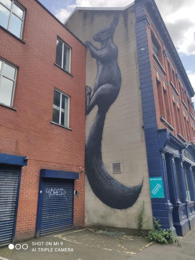 Belfast Riverview Dış mekan fotoğraf